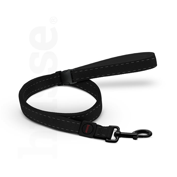 Akiv Leash