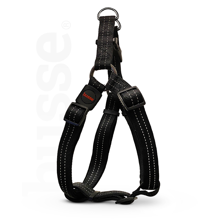 Aktiv Harness