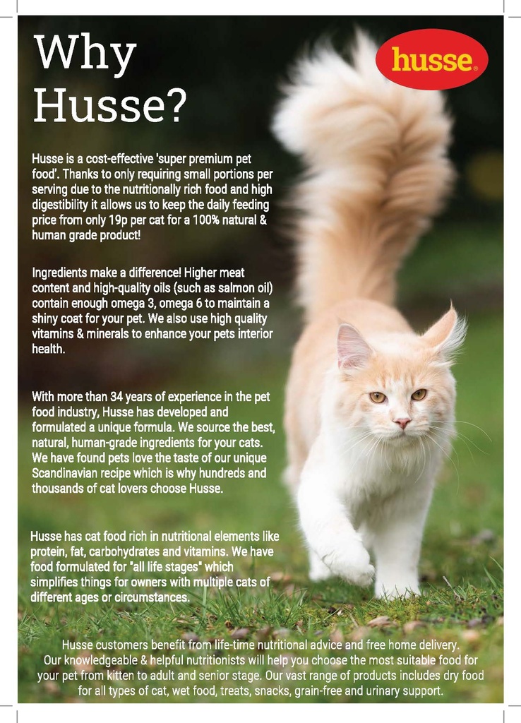 Switch to Husse Flyer A4 (Cat)