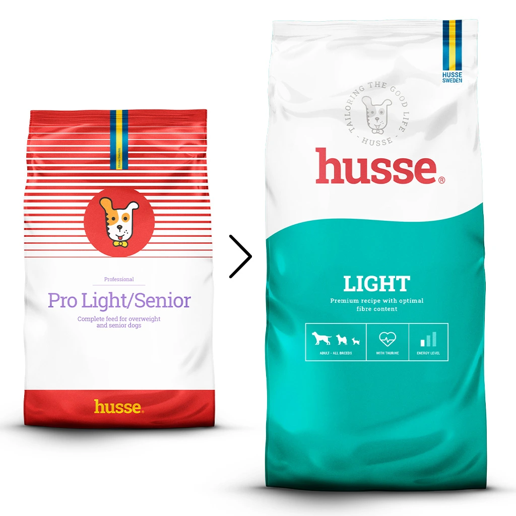 Essential Light (dog)