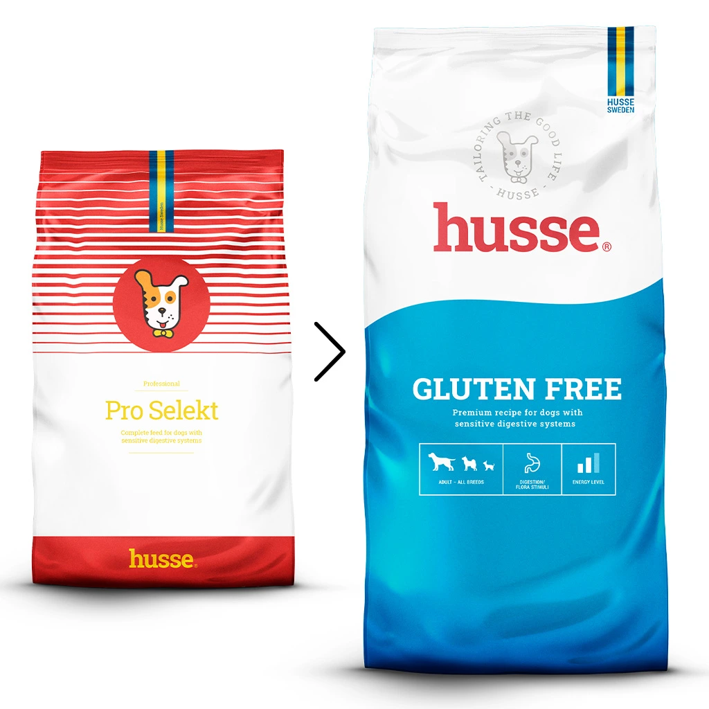 Essential Gluten Free (dog)