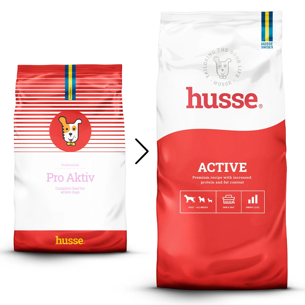 Essential Active (dog)