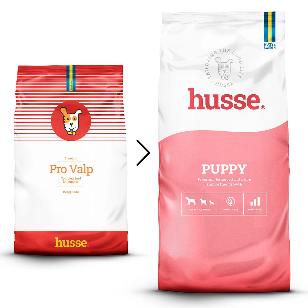 Essential Puppy (dog)