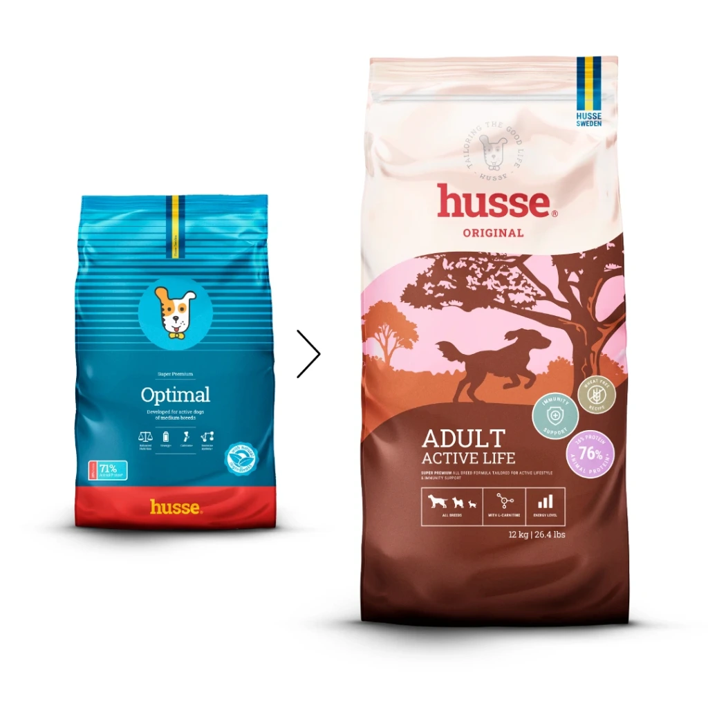 Adult Active Life (dog)