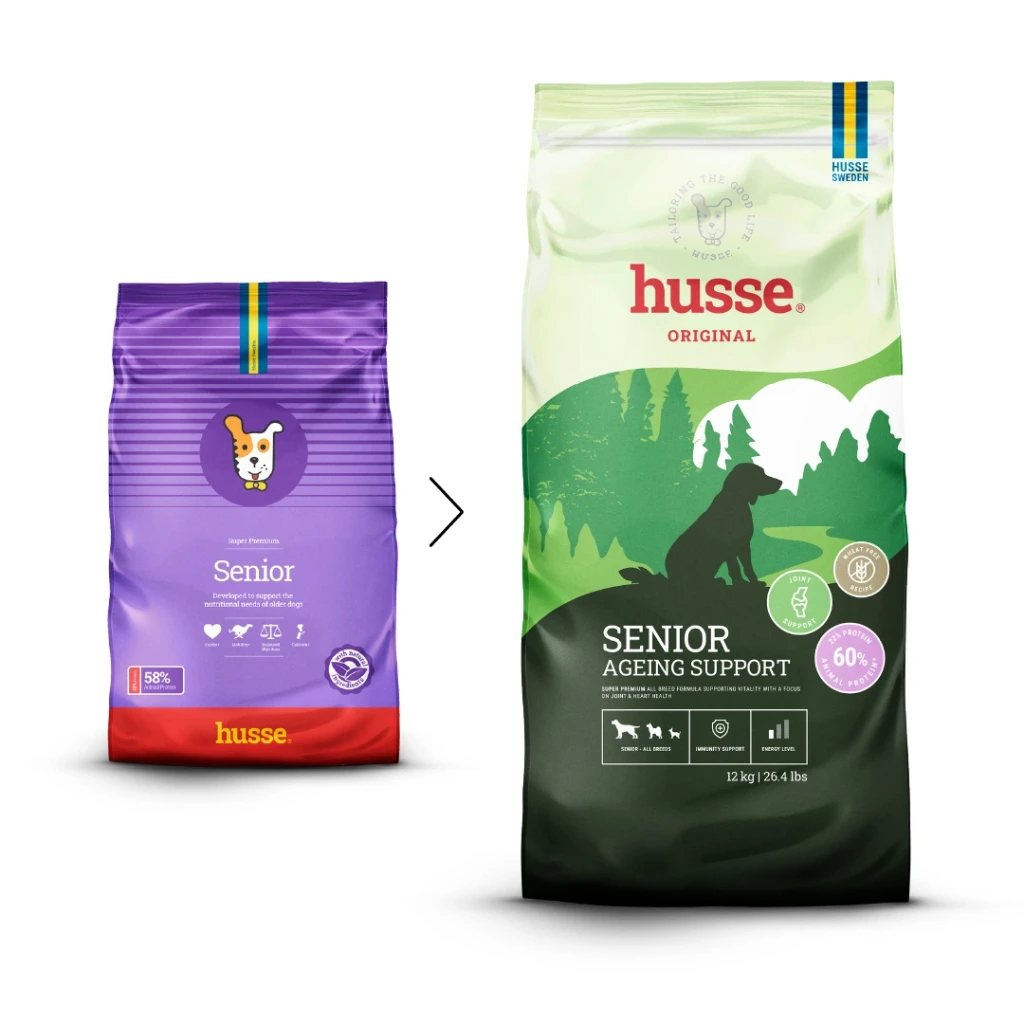 Senior Ageing Support (dog)