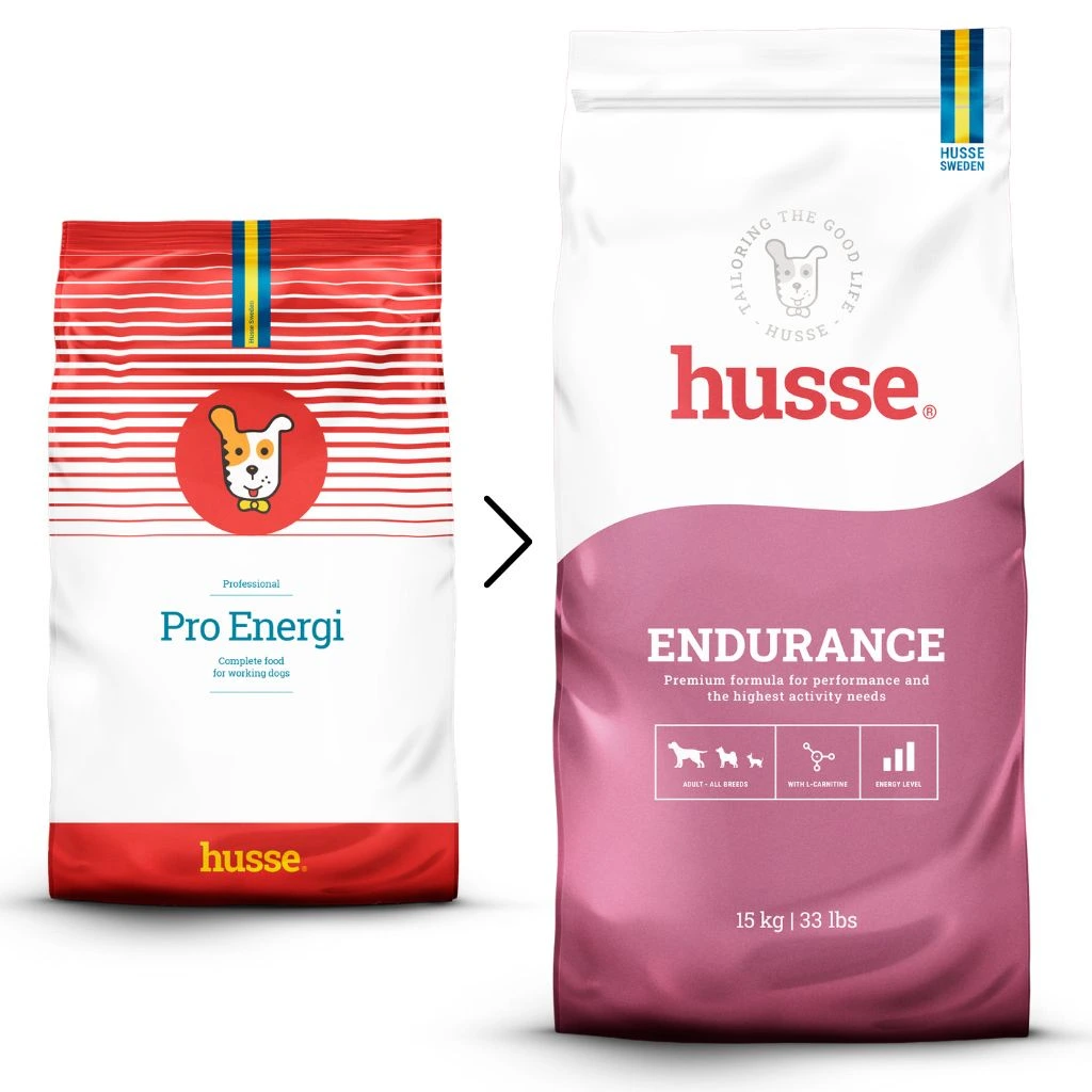 Essential Endurance (dog)
