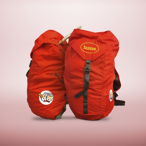 [50022] Back Pack